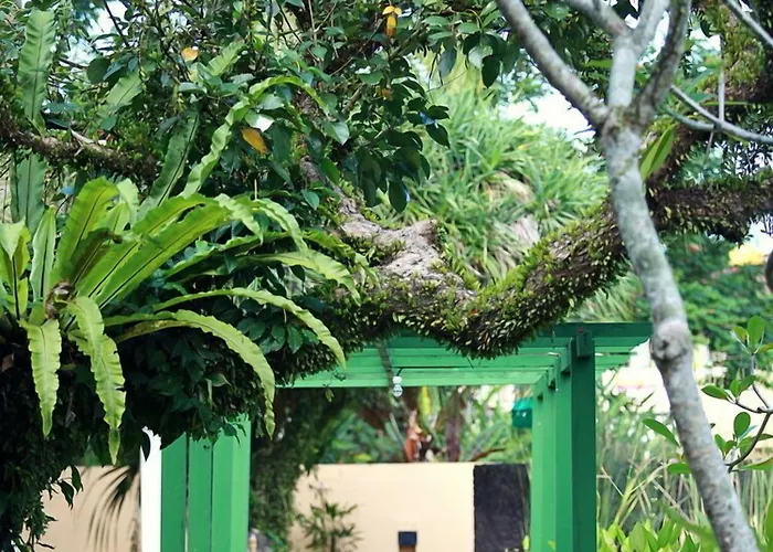 Garden 3* Ubud
